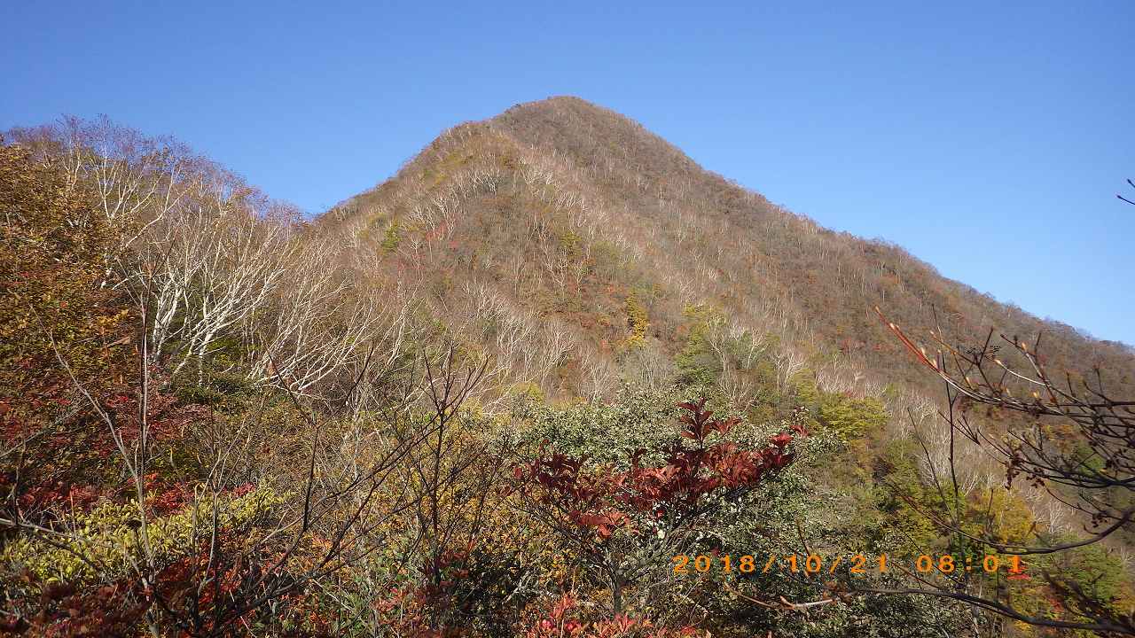 NET�R�x��h�g�`�k�t�h