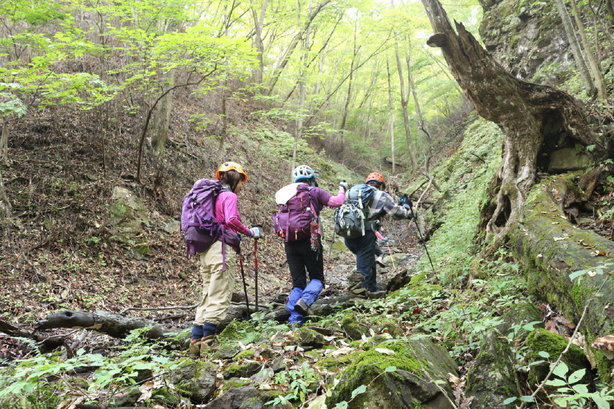 NET�R�x��h�g�`�k�t�h