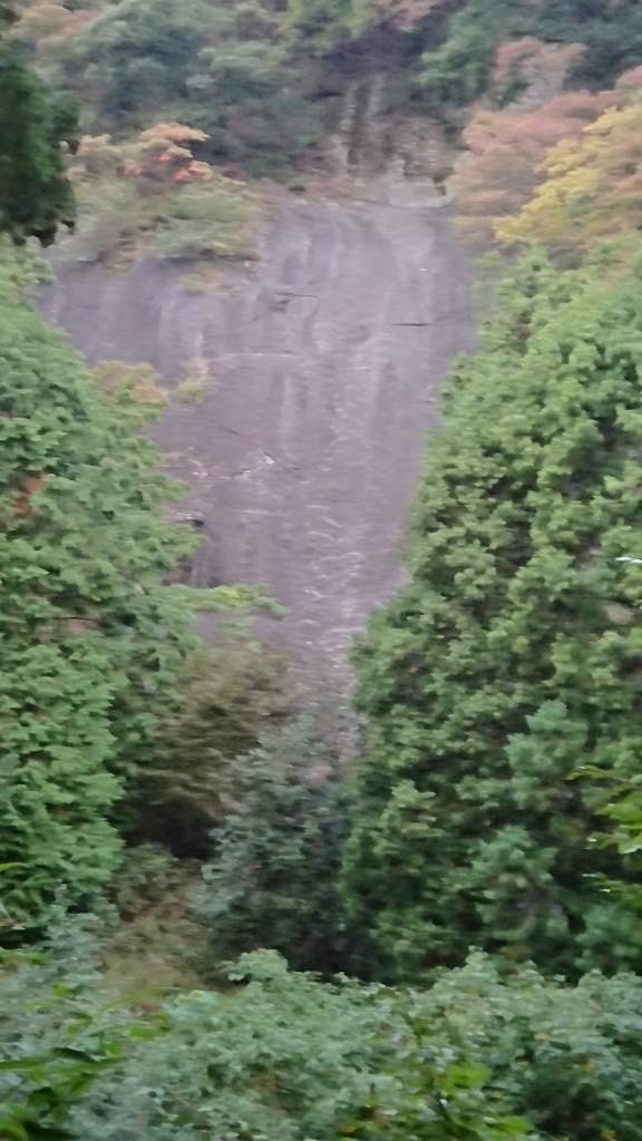 NET�R�x��h�g�`�k�t�h