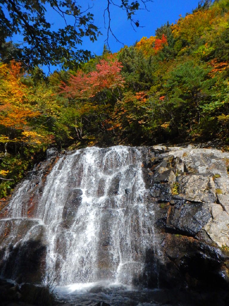 NET�R�x��h�g�`�k�t�h