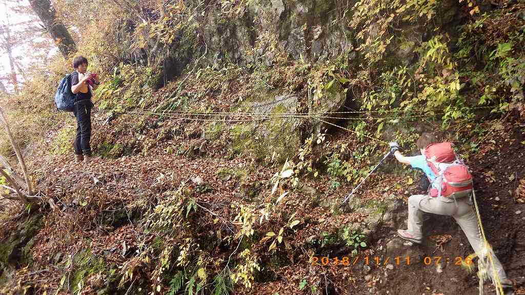 NET�R�x��h�g�`�k�t�h