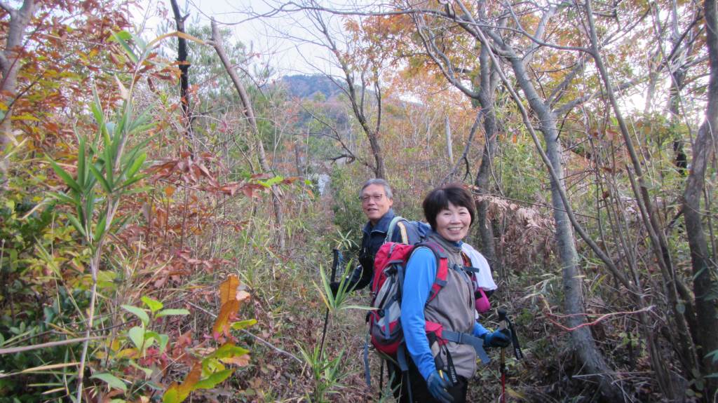 NET�R�x��h�g�`�k�t�h