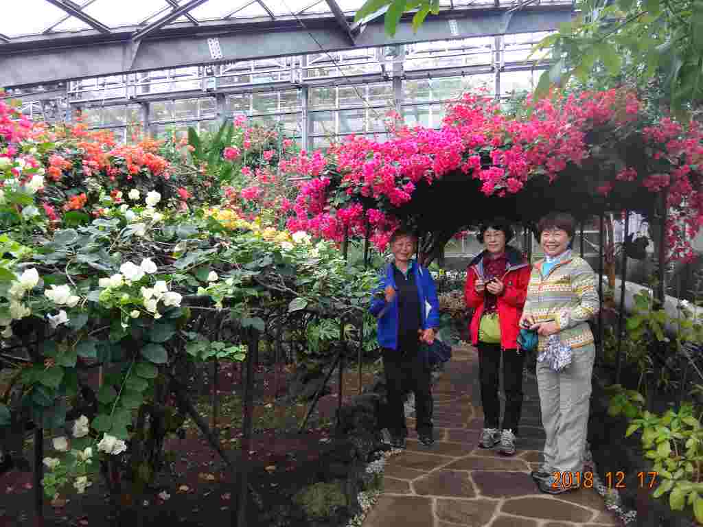 NET�R�x��h�g�`�k�t�h