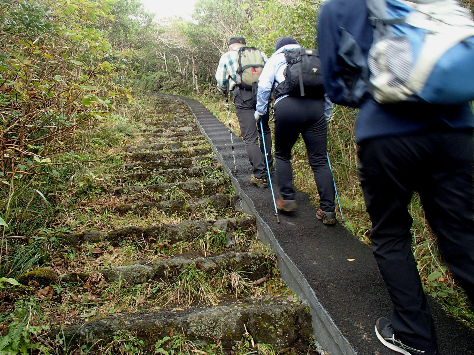 NET�R�x��h�g�`�k�t�h