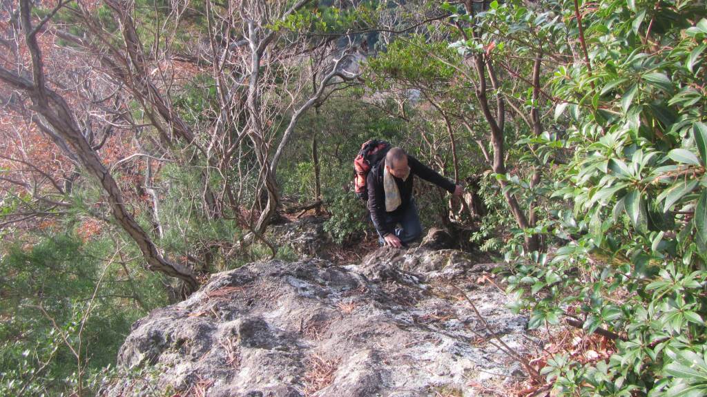 NET�R�x��h�g�`�k�t�h