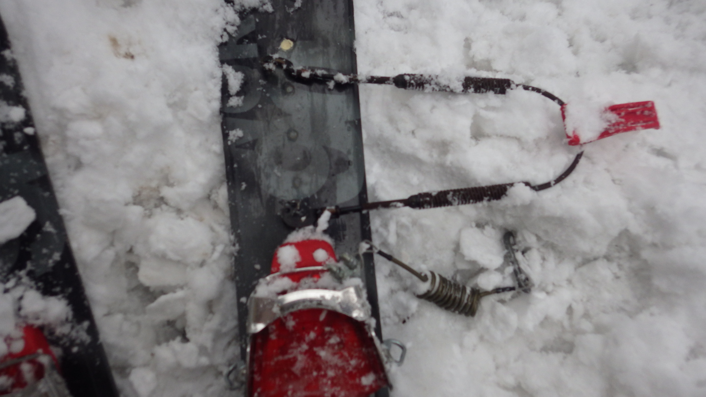 NET�R�x��h�g�`�k�t�h