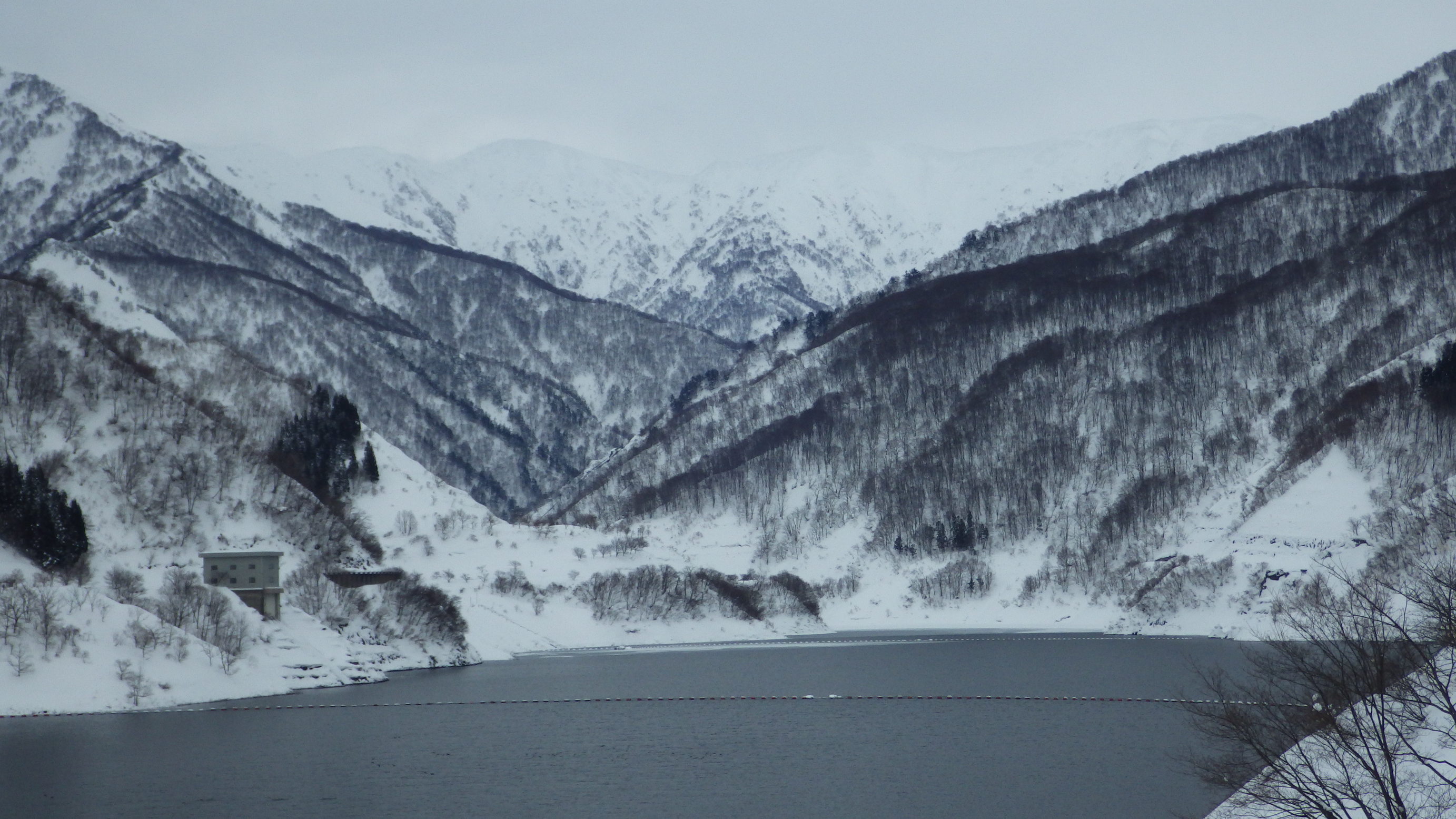 NET�R�x��h�g�`�k�t�h