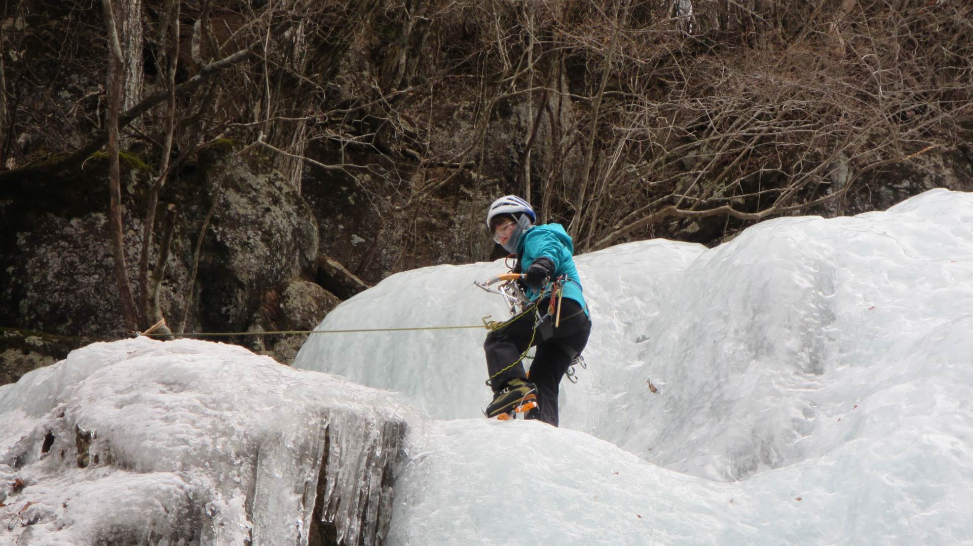 NET�R�x��h�g�`�k�t�h