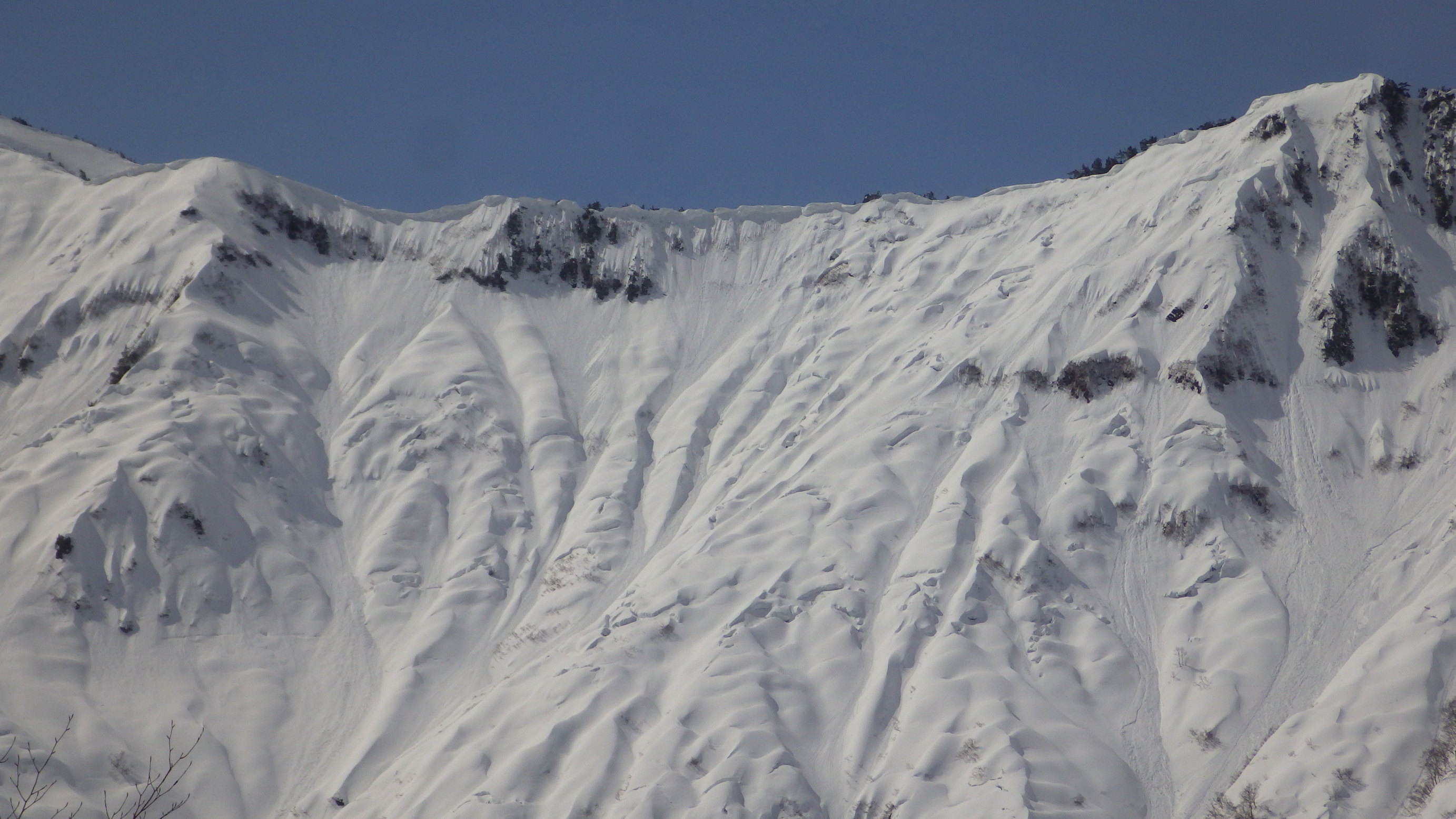 NET�R�x��h�g�`�k�t�h