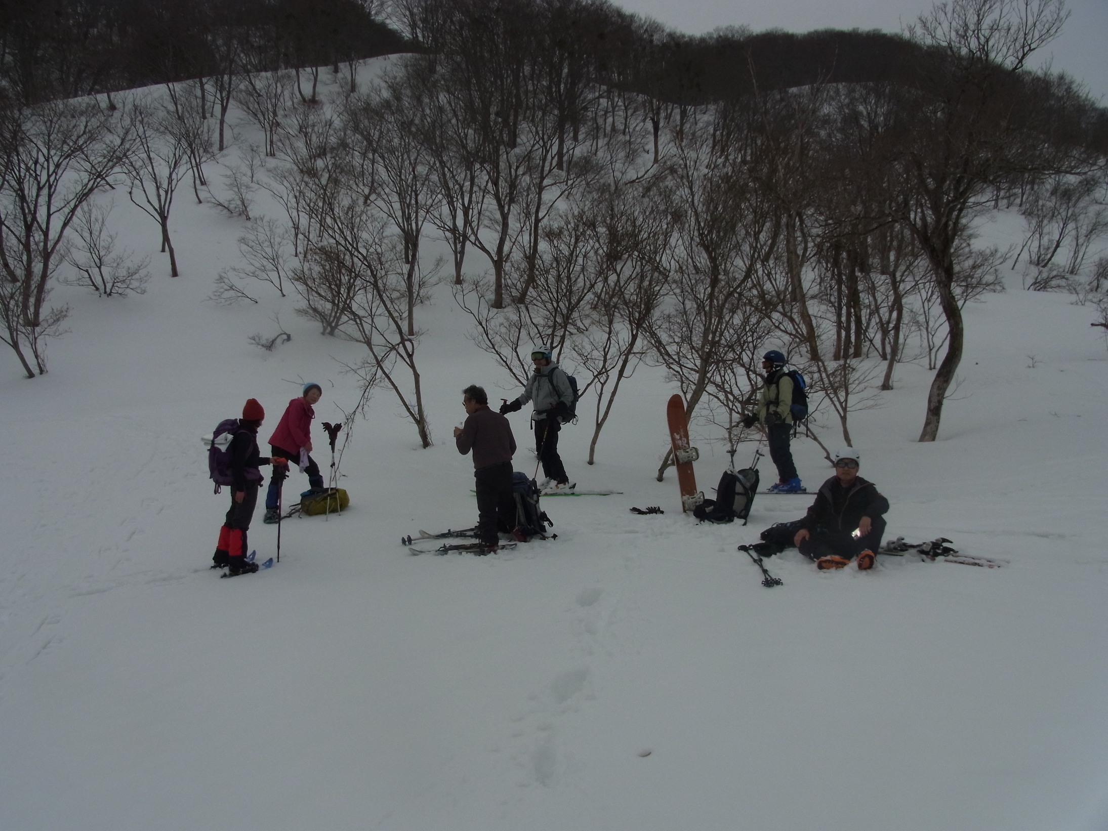 NET�R�x��h�g�`�k�t�h