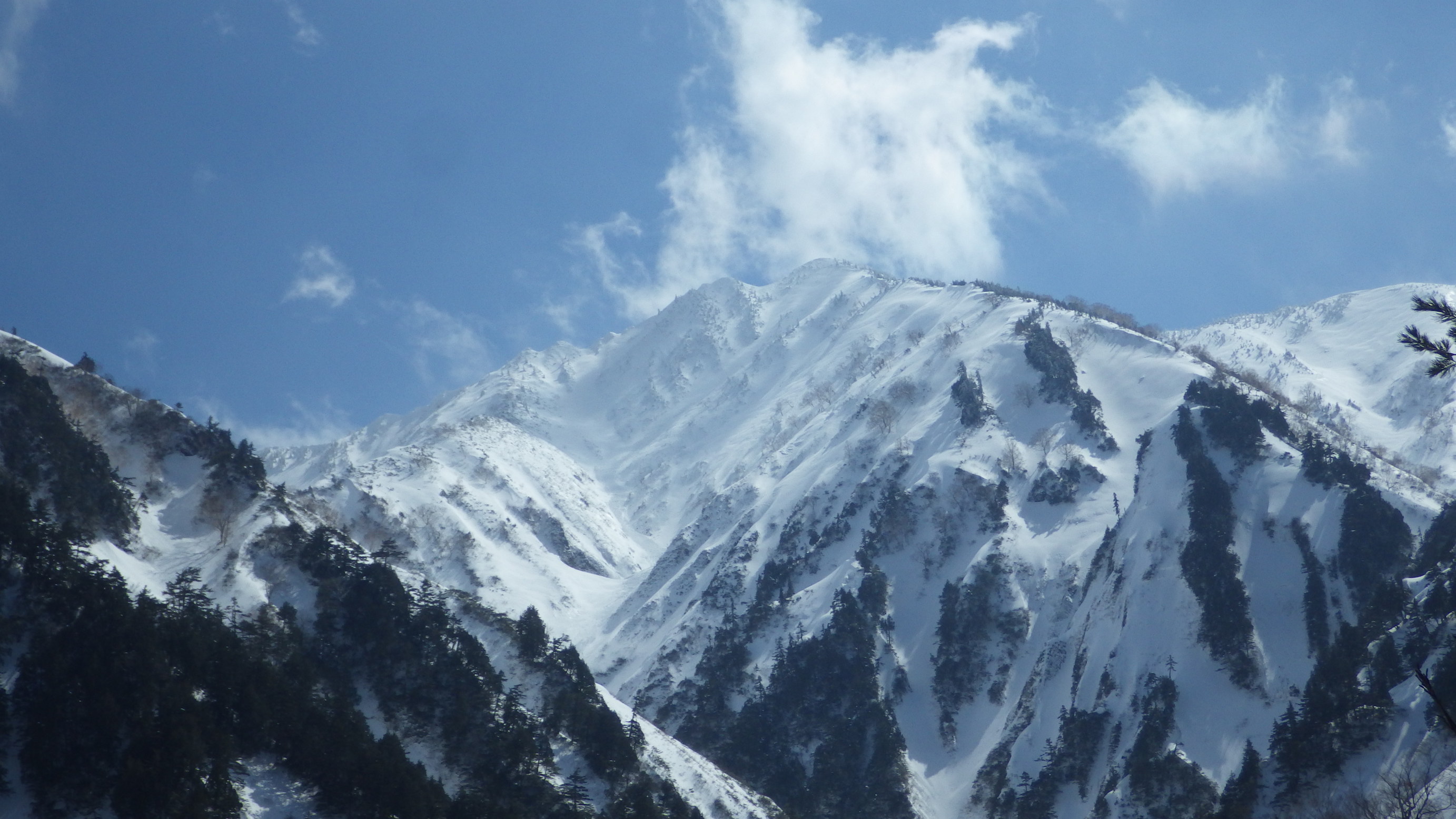 NET�R�x��h�g�`�k�t�h