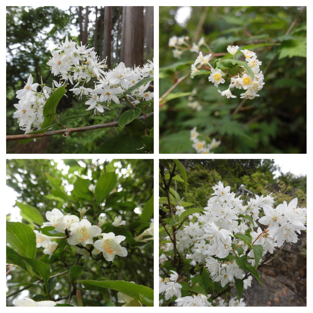 NET�R�x��h�g�`�k�t�h