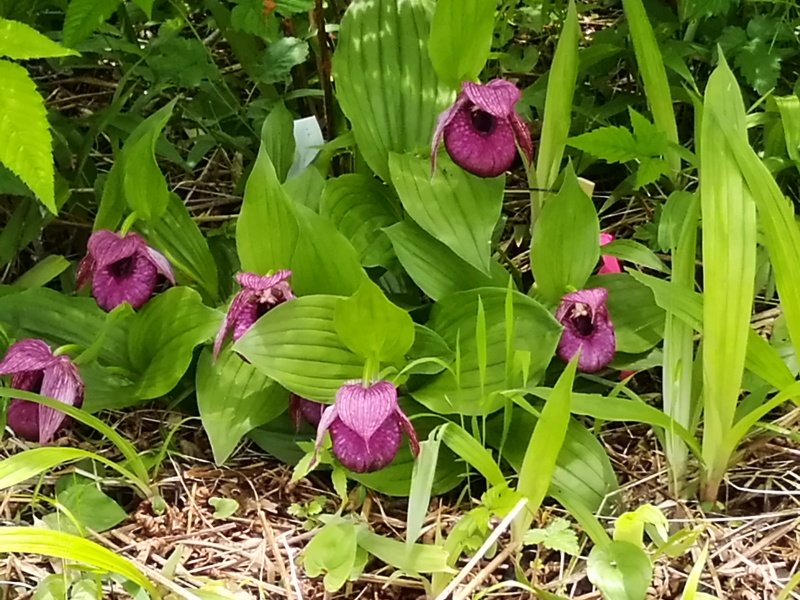 NET�R�x��h�g�`�k�t�h