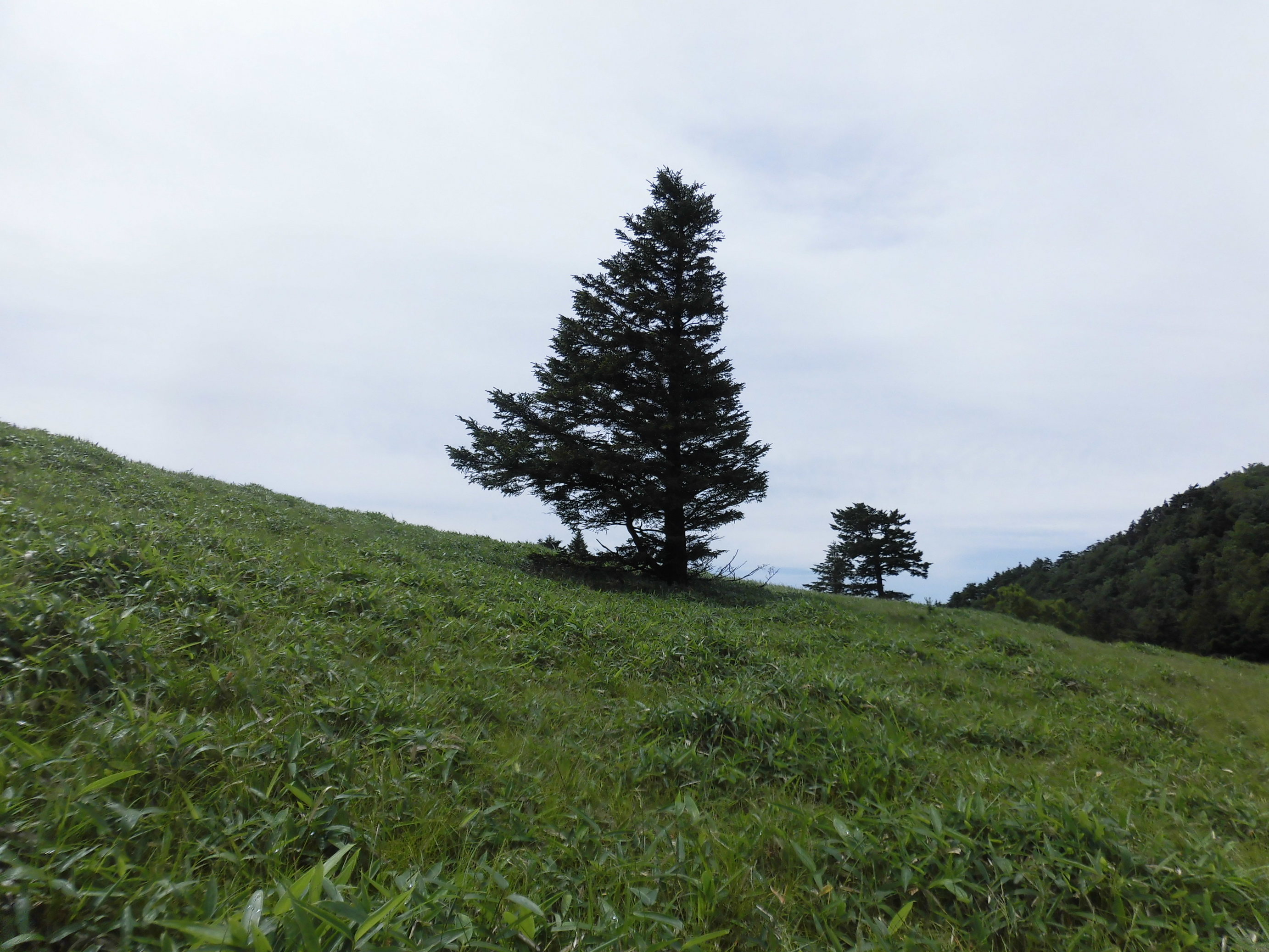 NET�R�x��h�g�`�k�t�h