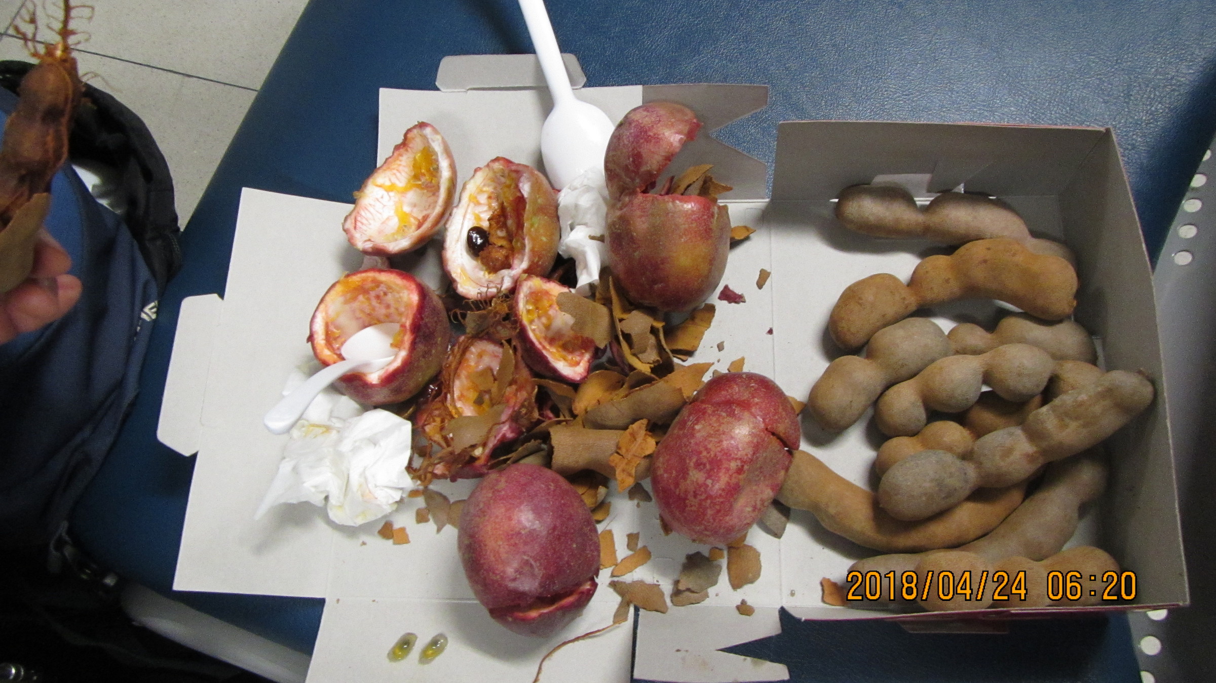 NET�R�x��h�g�`�k�t�h