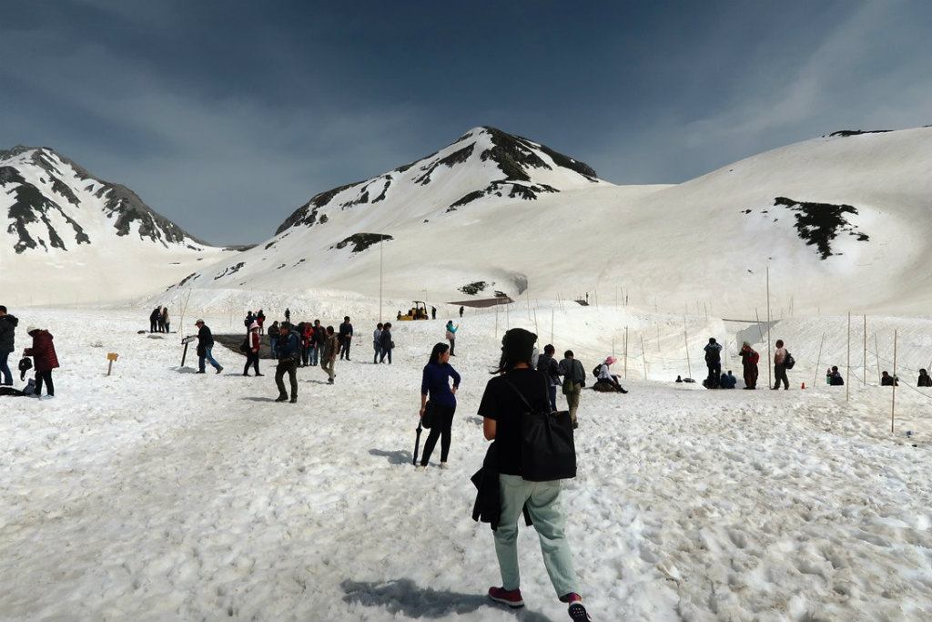 NET�R�x��h�g�`�k�t�h