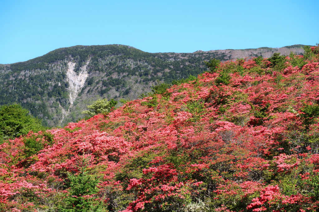 NET�R�x��h�g�`�k�t�h