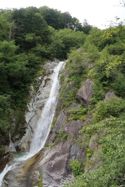 NET�R�x��h�g�`�k�t�h