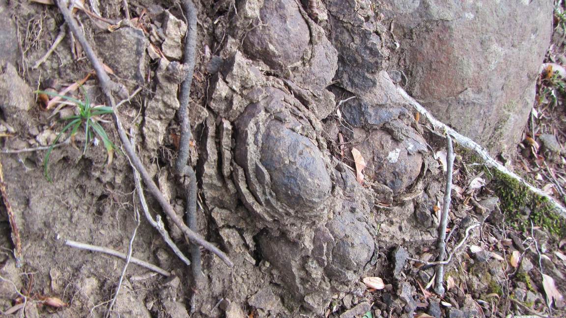 NET�R�x��h�g�`�k�t�h