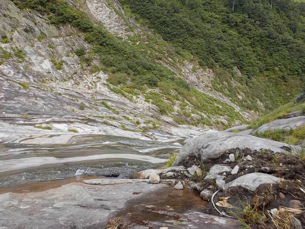 NET�R�x��hHALU�h