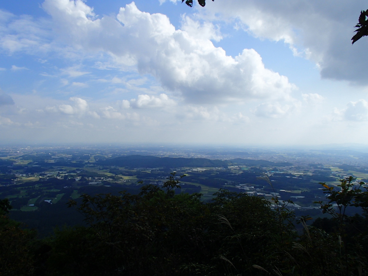 NET�R�x��hHALU�h