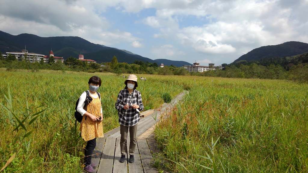 NET�R�x��hHALU�h