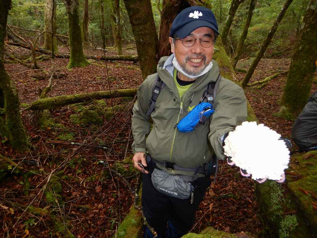 NET�R�x��hHALU�h