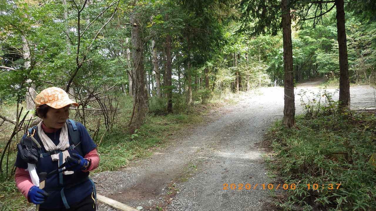 NET�R�x��hHALU�h