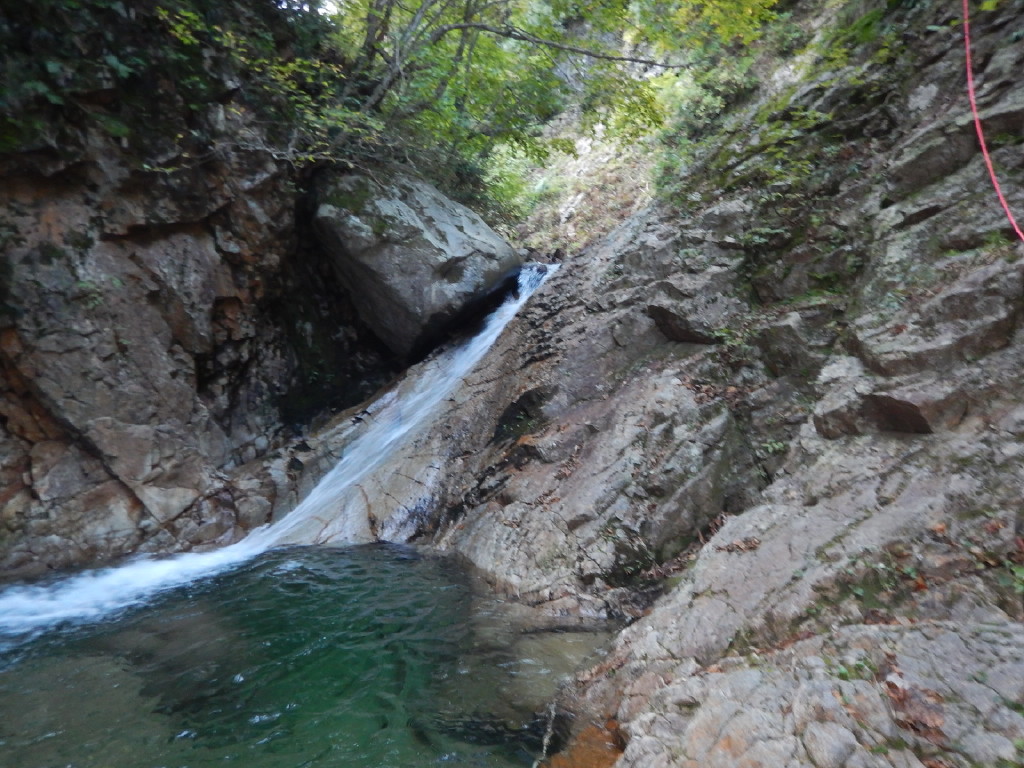 NET�R�x��hHALU�h