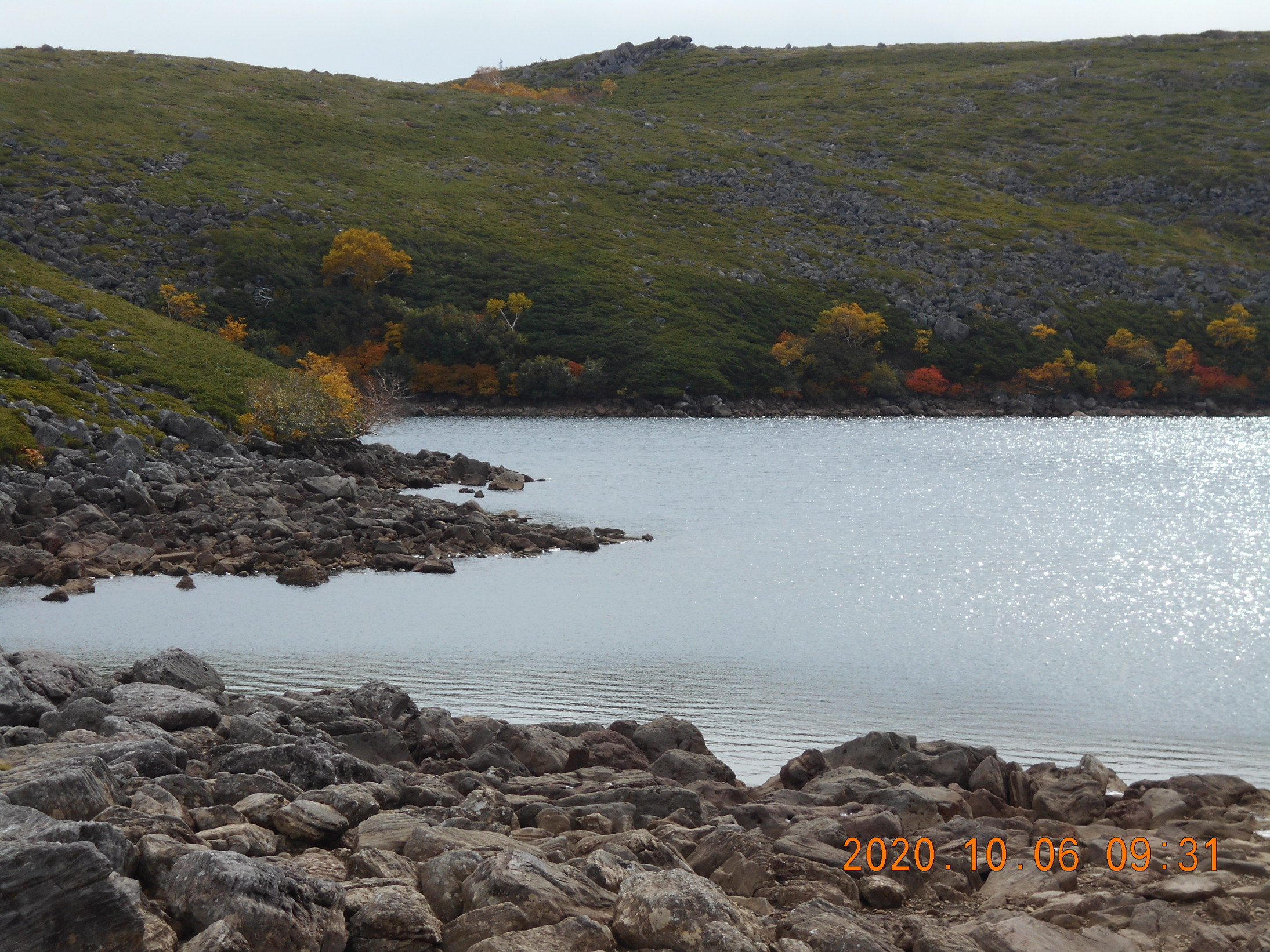 NET�R�x��hHALU�h