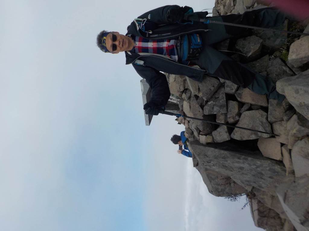 NET�R�x��hHALU�h