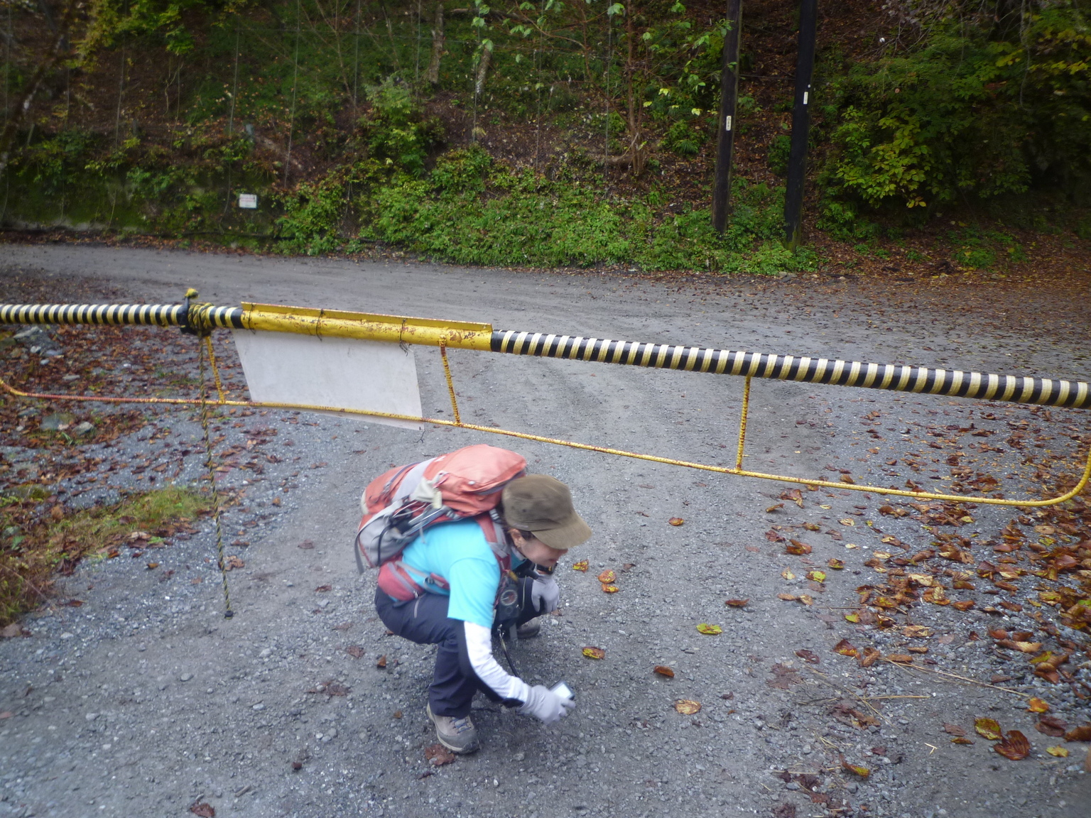 NET�R�x��hHALU�h