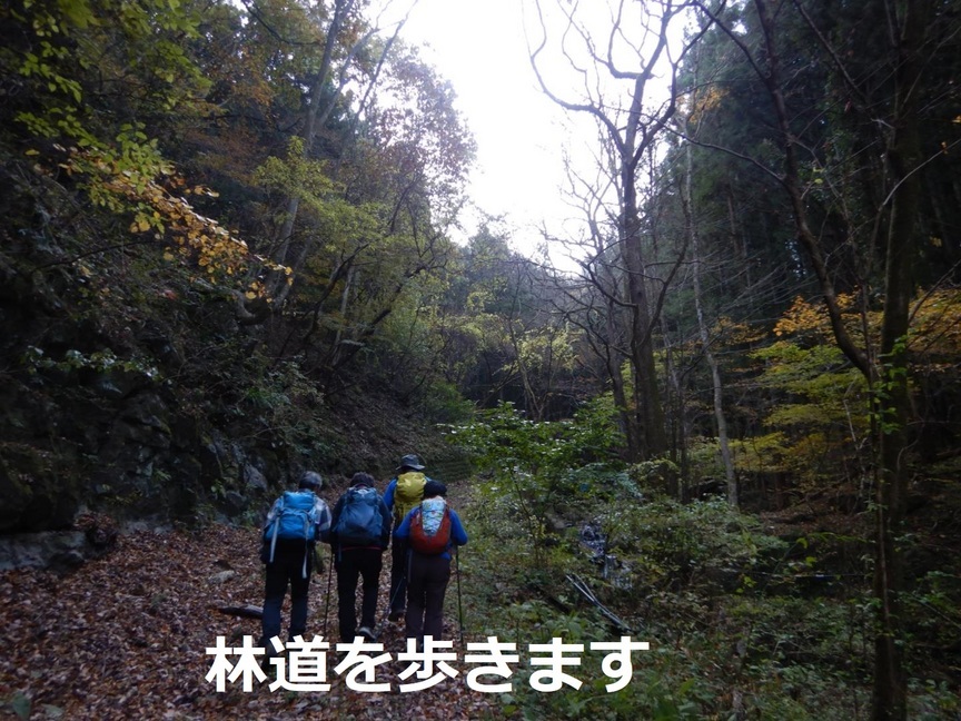 NET�R�x��hHALU�h