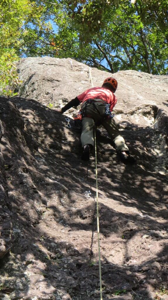 NET�R�x��hHALU�h