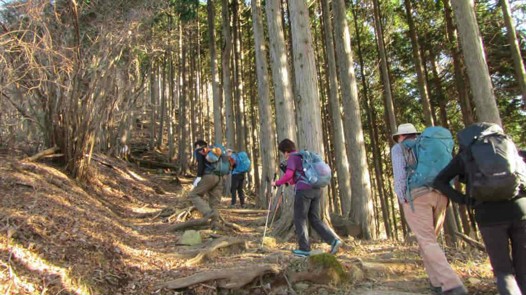 NET�R�x��hHALU�h