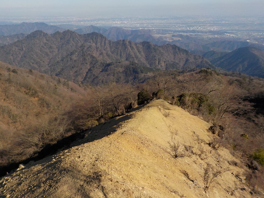 NET�R�x��hHALU�h