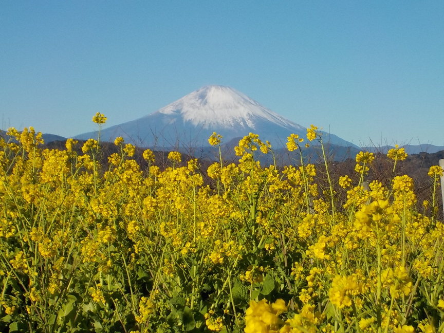 NET�R�x��hHALU�h