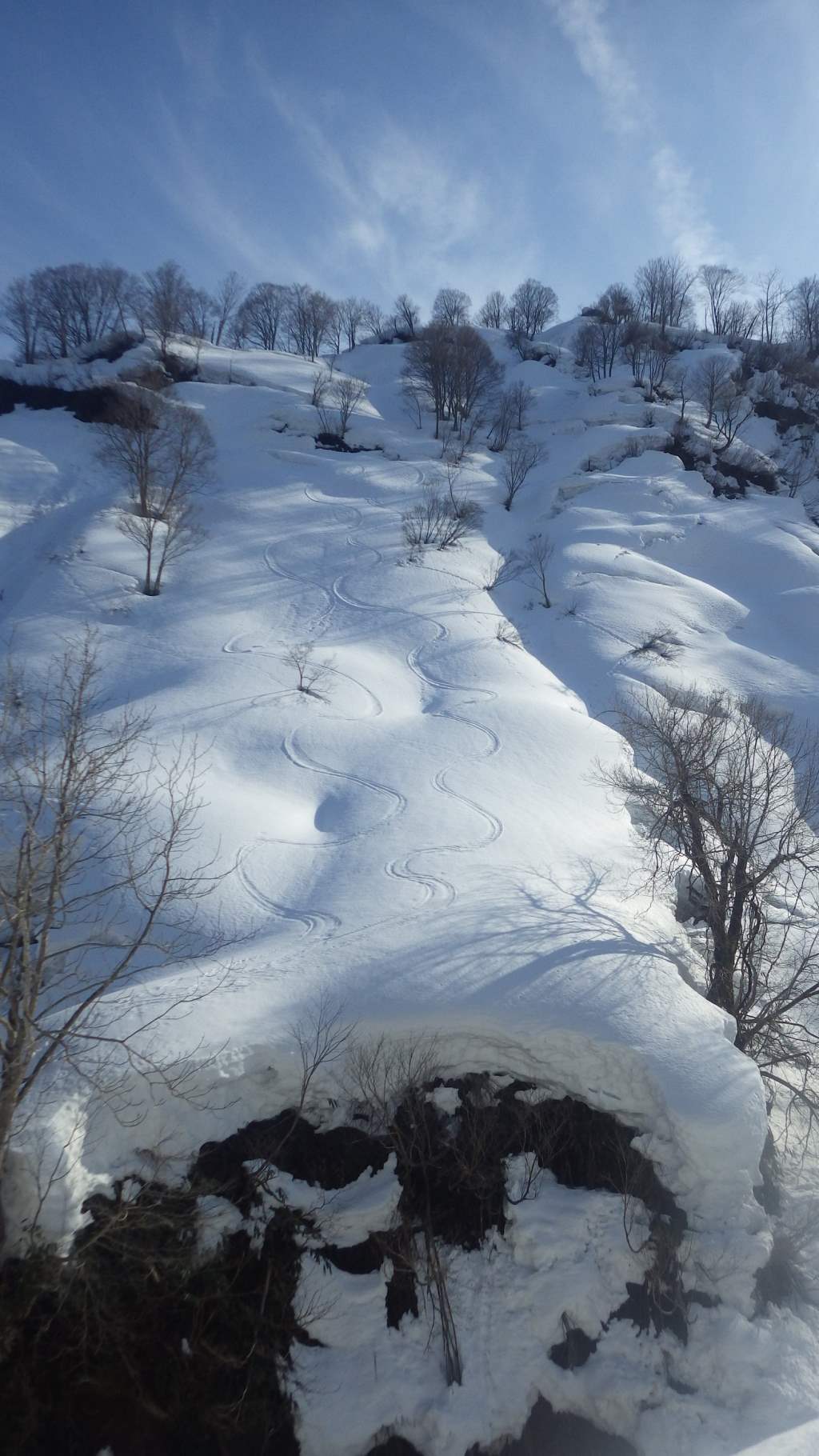 NET�R�x��hHALU�h