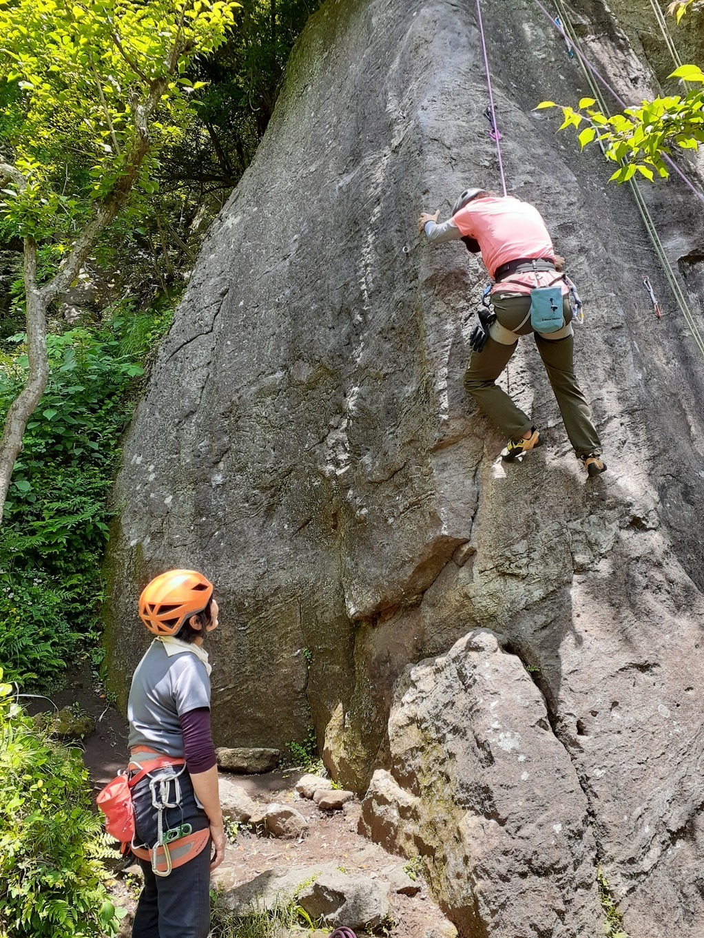 NET�R�x��hHALU�h