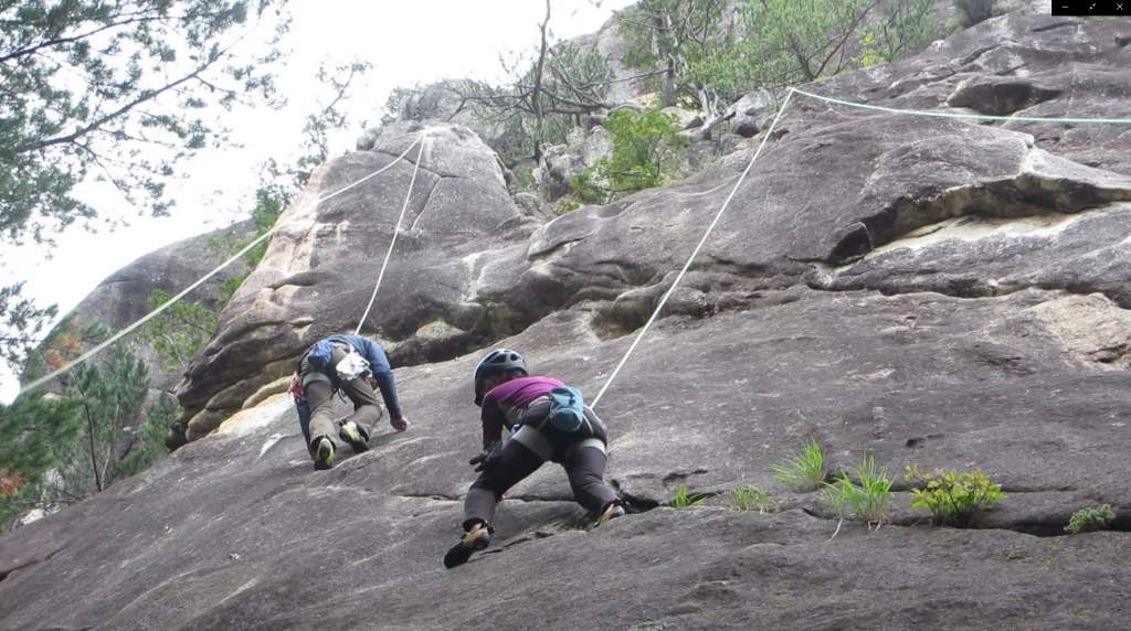 NET�R�x��hHALU�h