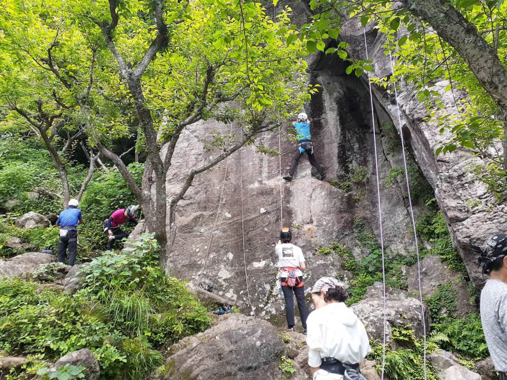 NET�R�x��hHALU�h