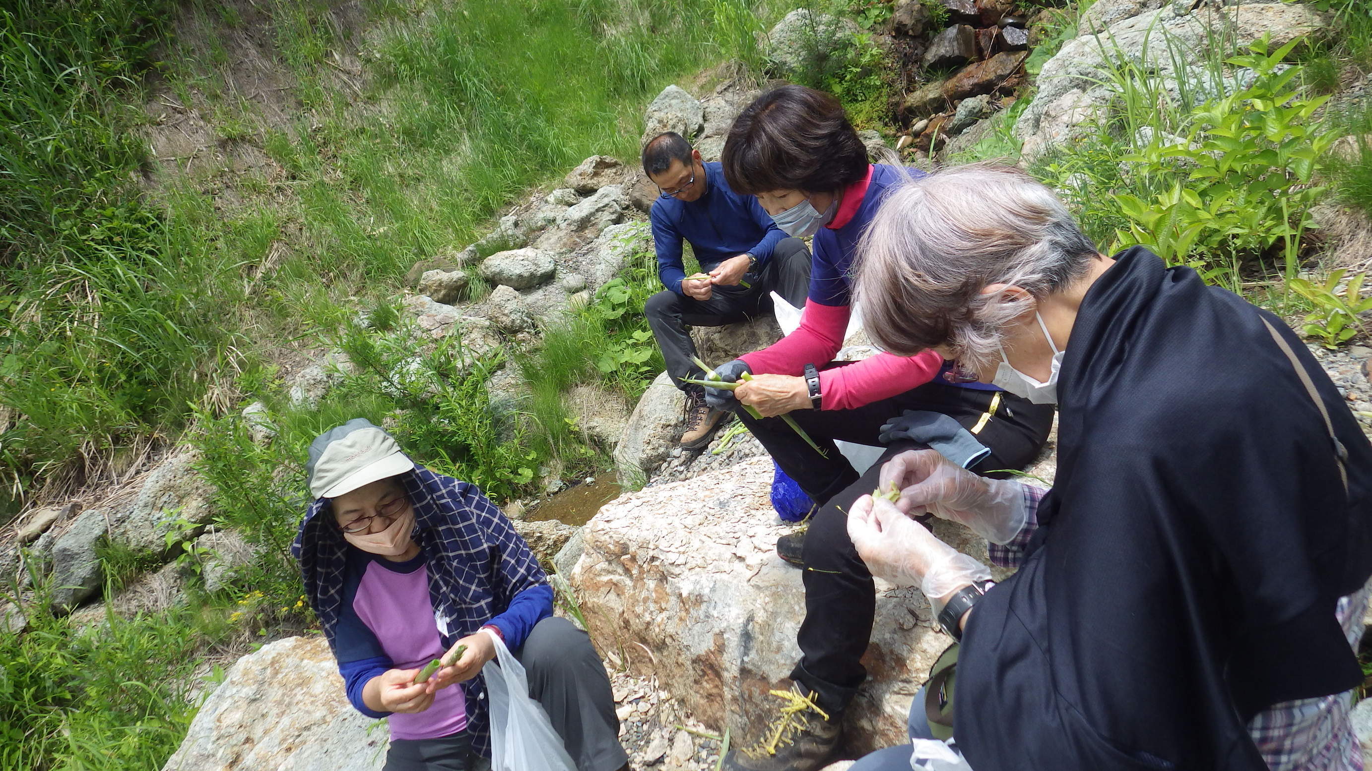 NET�R�x��hHALU�h