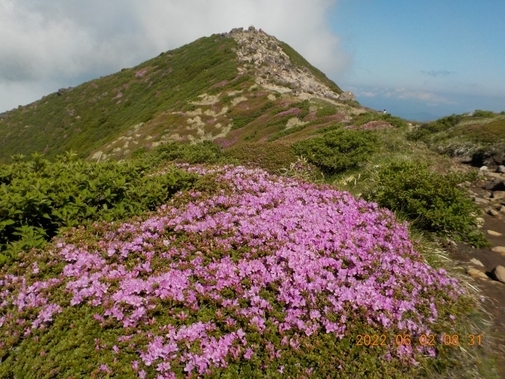 NET�R�x��hHALU�h