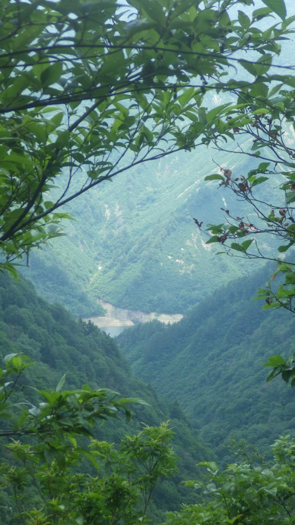 NET�R�x��hHALU�h