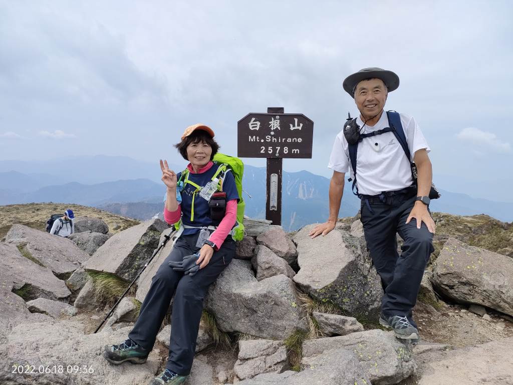 NET�R�x��hHALU�h