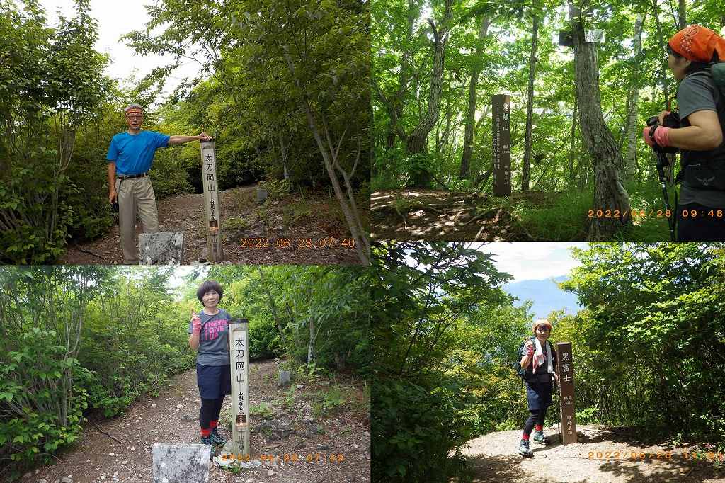 NET�R�x��hHALU�h