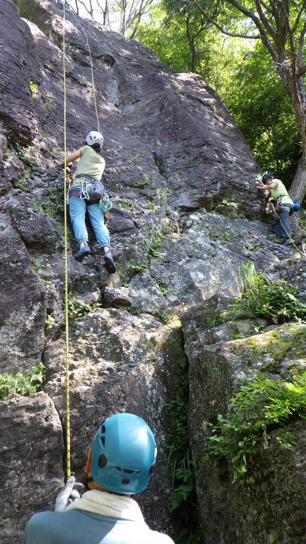 NET�R�x��hHALU�h