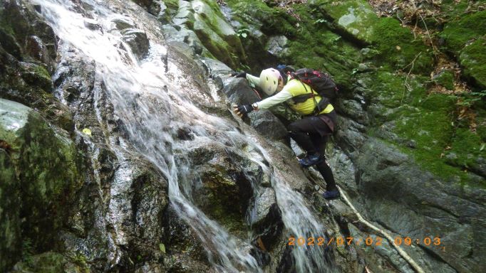 NET�R�x��hHALU�h