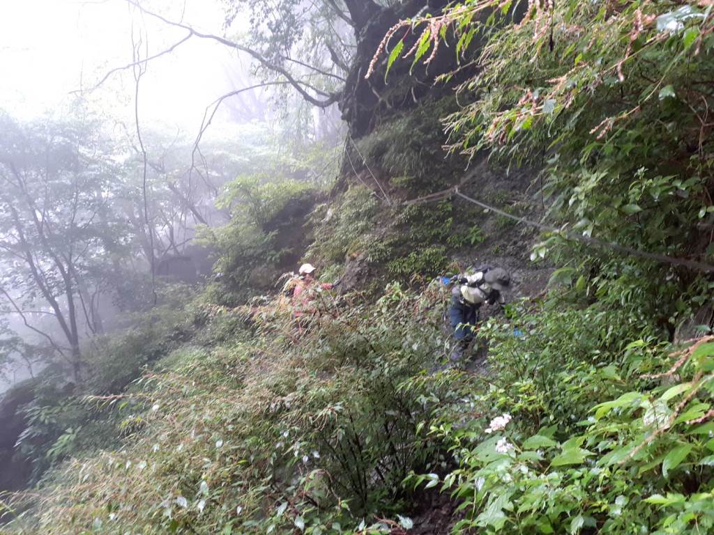 NET�R�x��hHALU�h