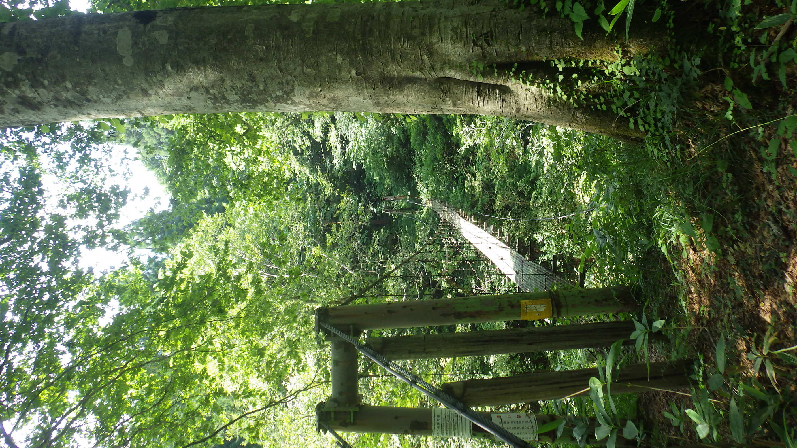 NET�R�x��hHALU�h